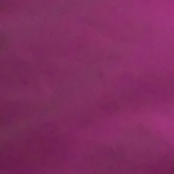 Meet your Posher, Piper - Picture 1 of 1